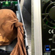 Illustration for article titled Live Python Artfully Concealed in Hard Drive Enclosure Fails to Get on Planeem/em